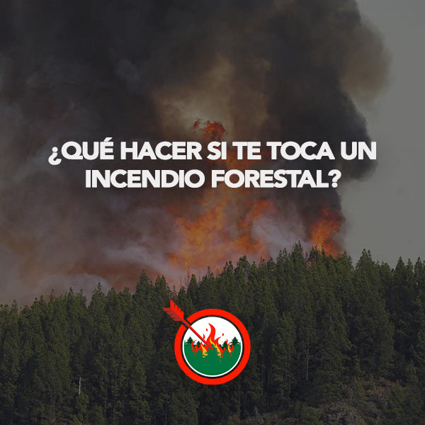 ¿Cómo prepararte para un incendio forestal?