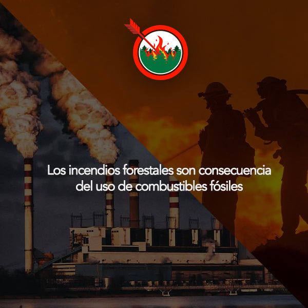 ¿Por qué se ocasiona un incendio forestal?