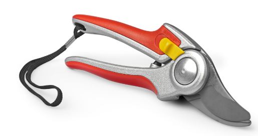 Professional Hand Scissors
