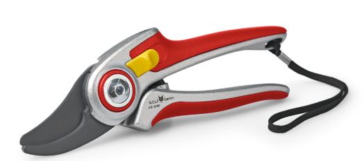 Professional Hand Scissors