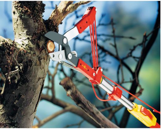 Multistar Professional Branch Cutter Scissors.