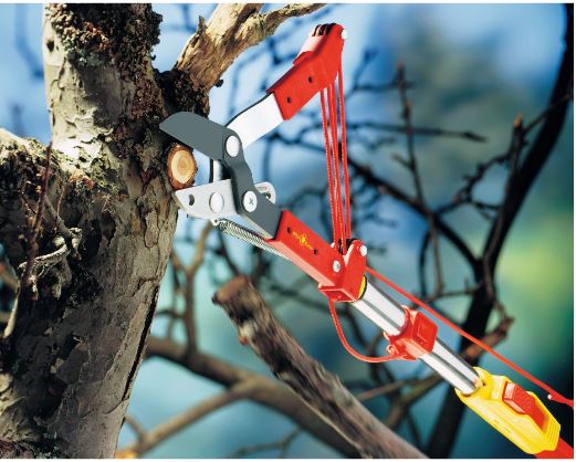 Tree Star Cutter Multistar Professional Branch Cutter Scissors. – FireHunter